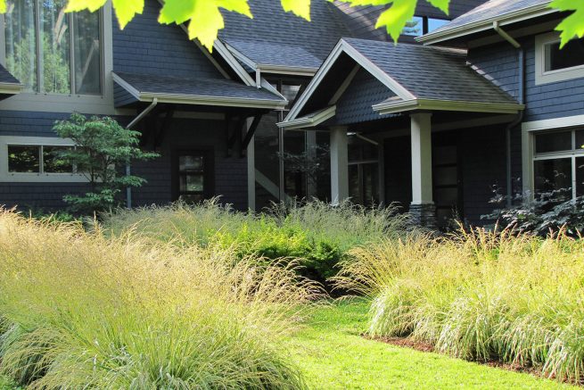 Paysagiste aménagement Sherbrooke 2019 Zeste graminées entrée quiétude verdure 5