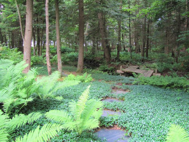 Paysagiste aménagement Sherbrooke Jardin de verdure boisé pont japonais