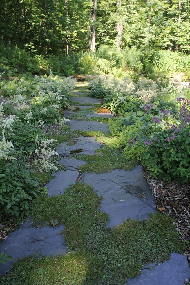 Paysagiste aménagement Sherbrooke Jardin de verdure pas japonais thym verdure ardoise