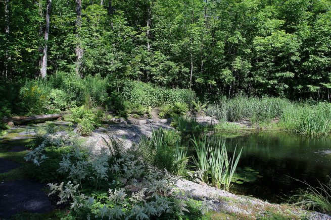 Paysagiste aménagement Sherbrooke La dame du lac bassin verdure ambiance nature 2