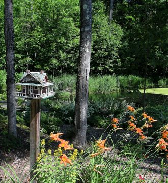 Paysagiste aménagement Sherbrooke La dame du lac hemerocaille bassin fraîcheur 1