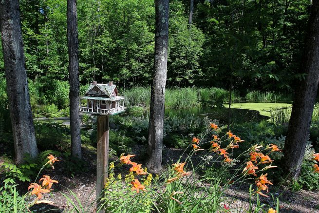 Paysagiste aménagement Sherbrooke La dame du lac hemerocaille bassin fraîcheur