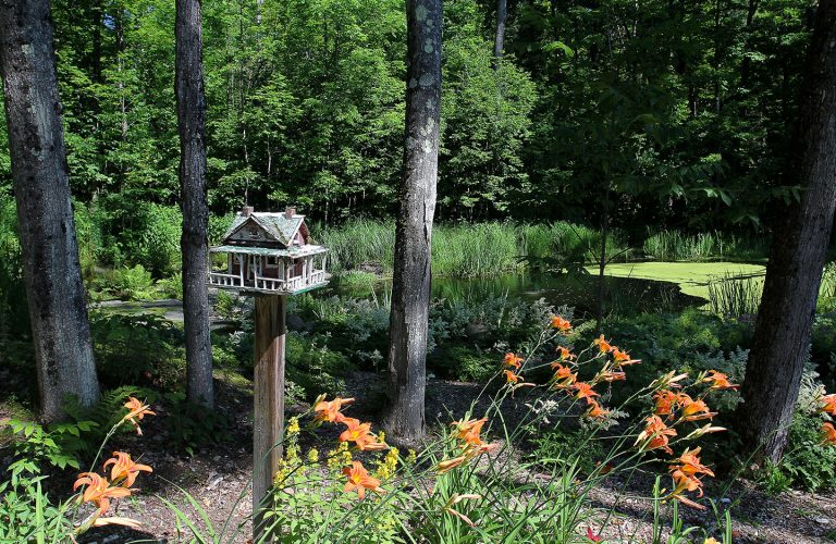 Paysagiste aménagement Sherbrooke La dame du lac hemerocaille bassin fraîcheur 1