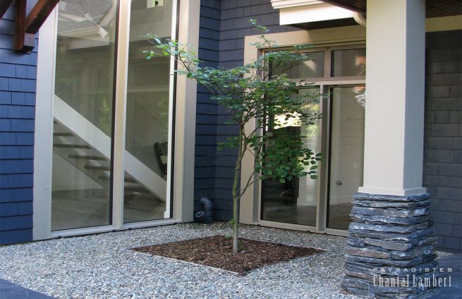 incrustation arbre aménagement bordure de maison et galets