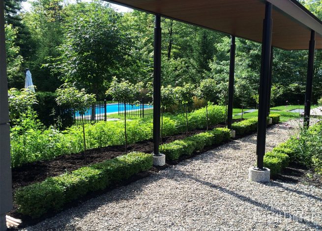 plantation végétaux en bordure de sentier