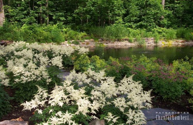 aménagement et entretien étang