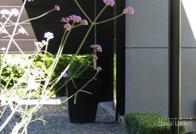 sentier-galet-de-rivière architecture contemporaine