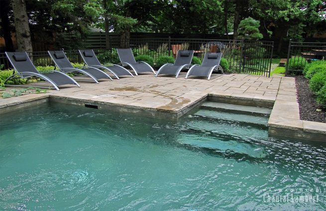 spa baignable cour arrière