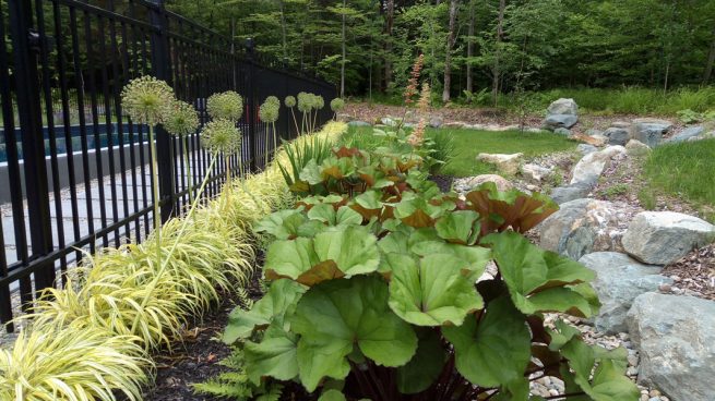 aménagement bord de piscine et clôture