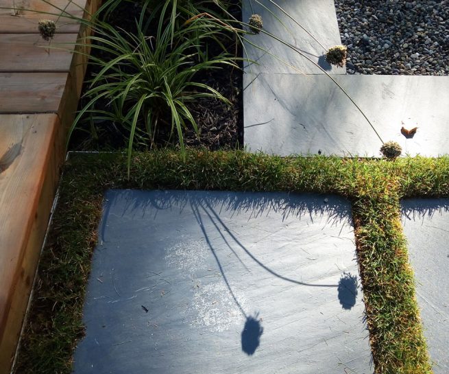 Pavé d'ardoise et mousse