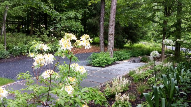 Trottoir en dalle de béton façade aménagée
