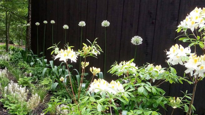 plate-bande aménagée en bordure de maison