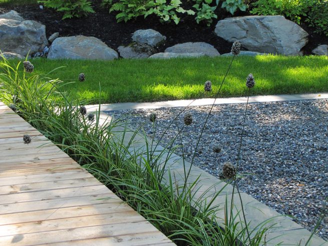 jardin de verdure en cour arrière
